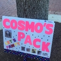 Team Page: Cosmo's Pack 